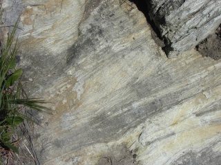 Cross-bedded Miocene Sandstone, Shell Ridge Regional Park, Walnut Creek, California. Click to see 800x600 version. [C-2020Z]