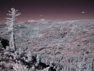 Looking north from Carson Spur, Sierra Nevada, California; R72 IR filter, monopod. Click to see 800x600 version. [C-2020Z]