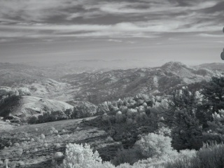 Roundtop looking south from Vollmer Peak, Orinda, CA. Wratten 87 IR pass filter, monopod, f/2.2, 1/10 sec. [C-2020Z]